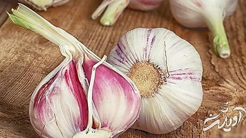 ۱۲ خوراکیهای مجزهآسا برای دور زدن سرطان ۱۲ خوراکیهای مجزهآسا برای دور زدن سرطان